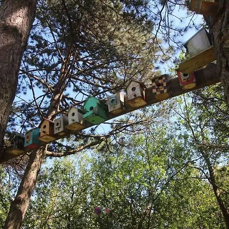 Les Colombines Tatil Evi *